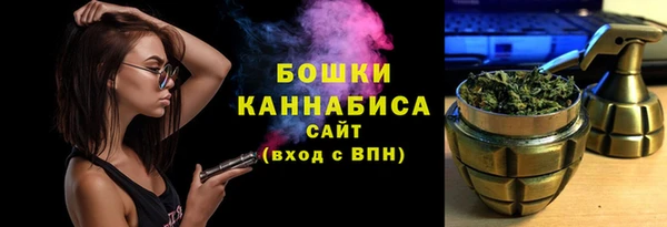 гидра Заводоуковск