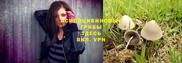 2c-b Елизово