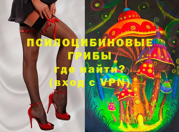 mix Ельня
