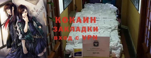 mix Ельня