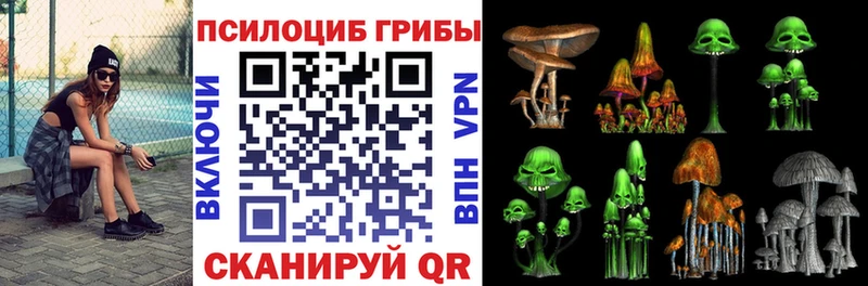 Купить где  Качканар  Псилоцибиновые грибы Psilocybine cubensis 